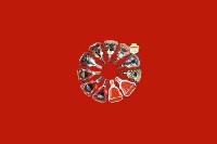 天山回收红酒